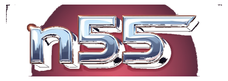n55 logo